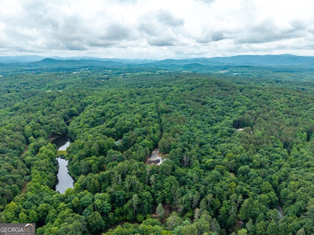 314 Lakeview Lane Ellijay - Photo 37