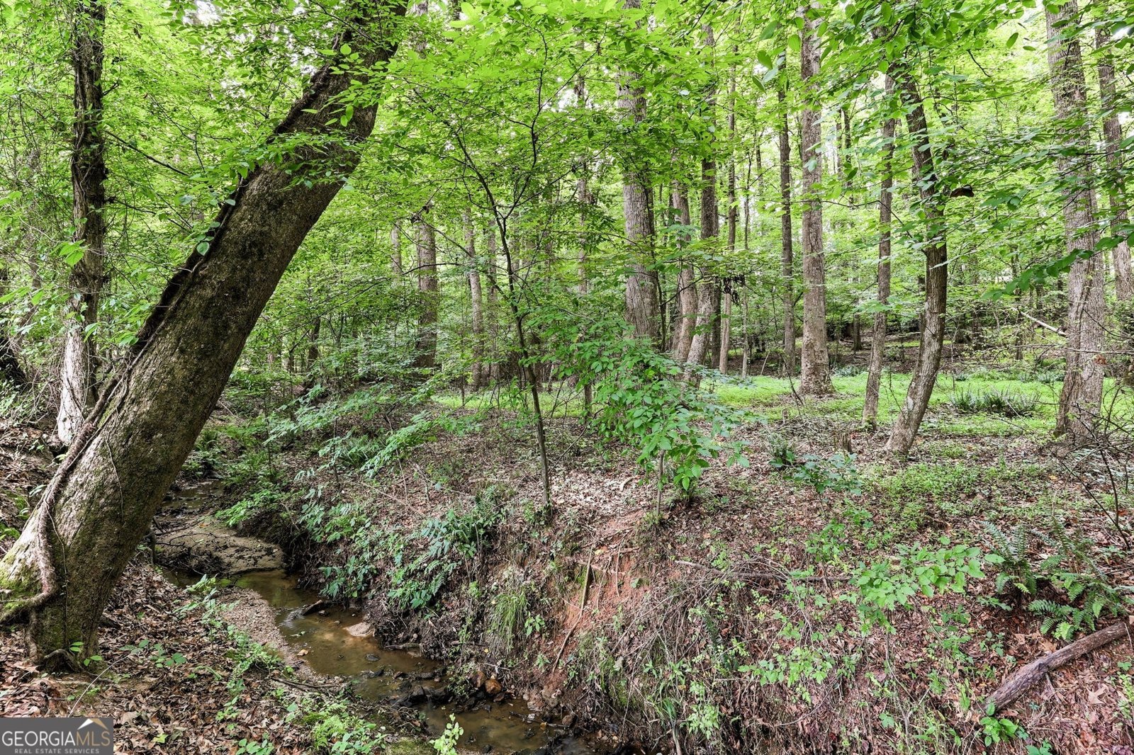 411 Hunting Hills Drive Braselton - Photo 21