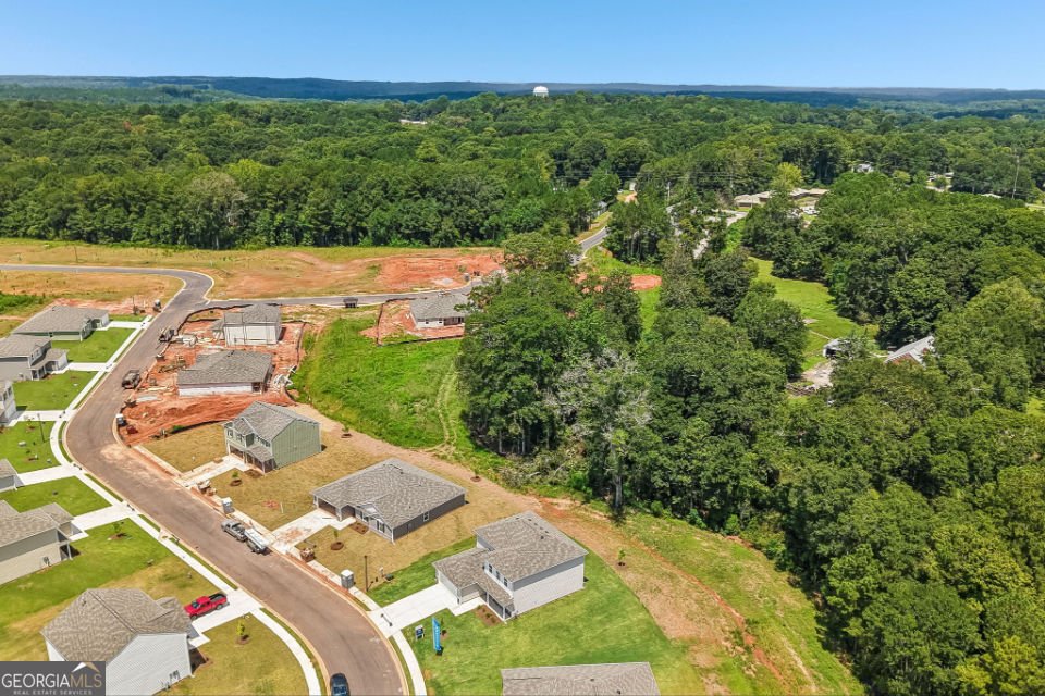 210 TJ's Trail Hogansville - Photo 20