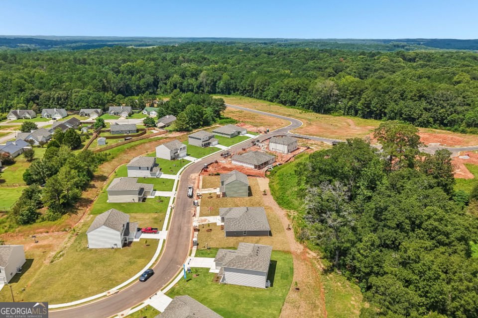 210 TJ's Trail Hogansville - Photo 21
