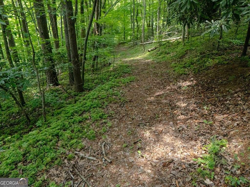 11 Treasure Lane Blairsville - Photo 73