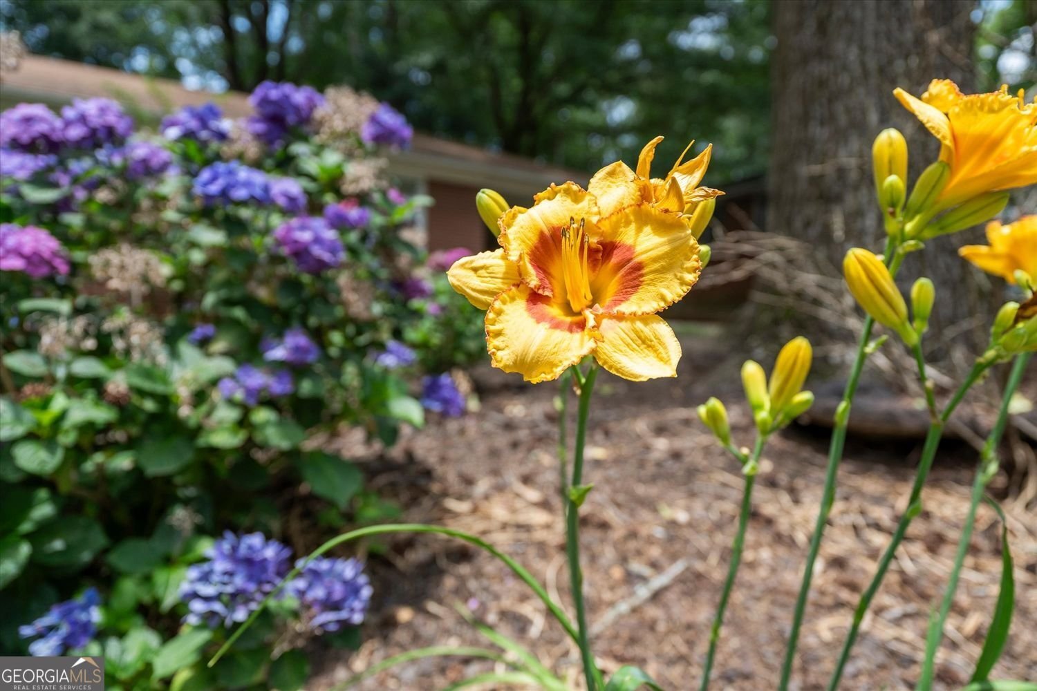 951 Woodland Trail Smyrna - Photo 23