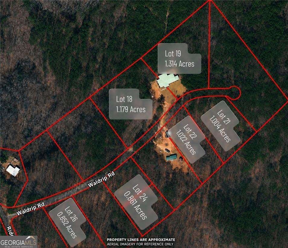 97 Waldrip Road Dawsonville - Photo 14
