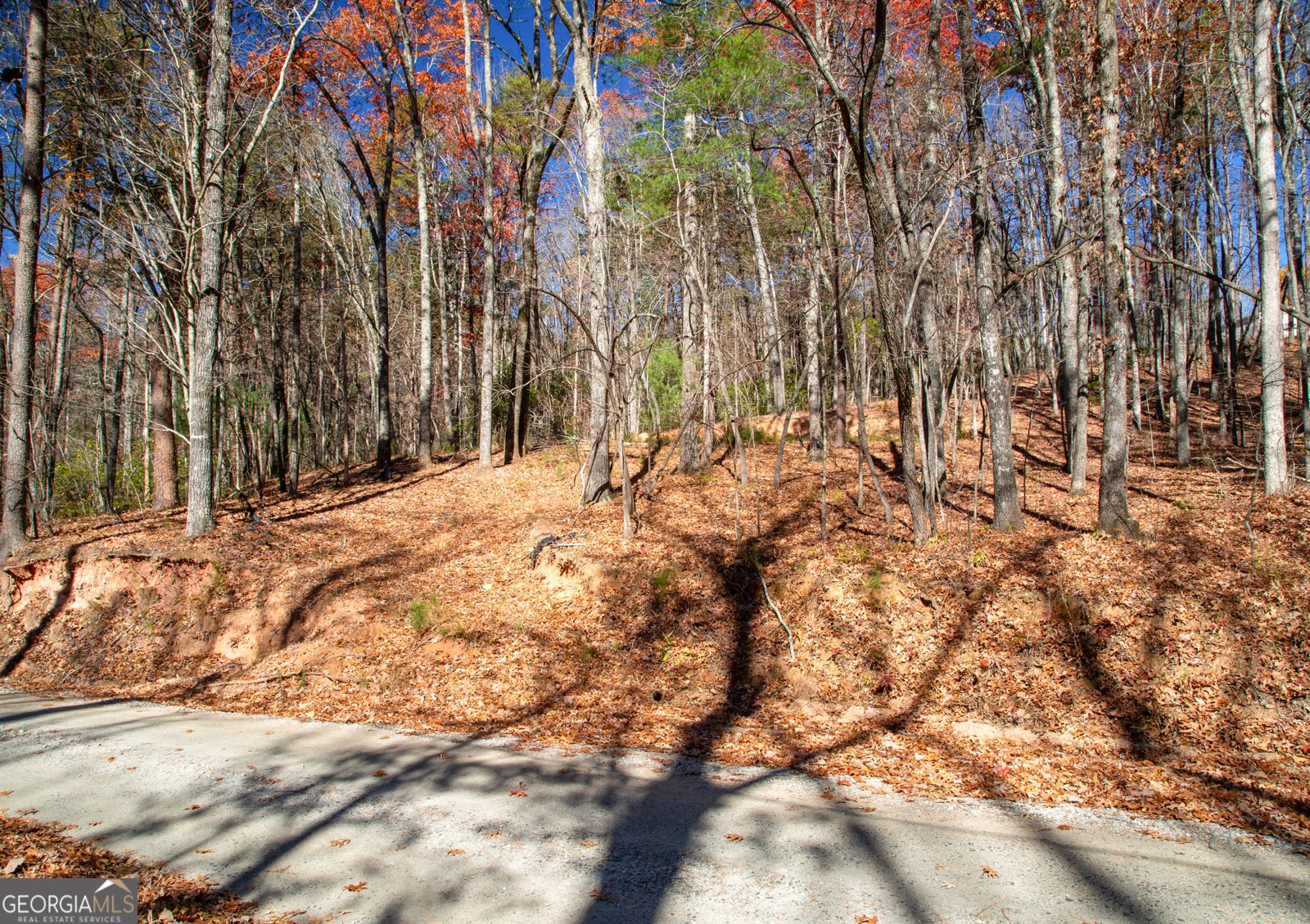 97 Waldrip Road Dawsonville - Photo 15