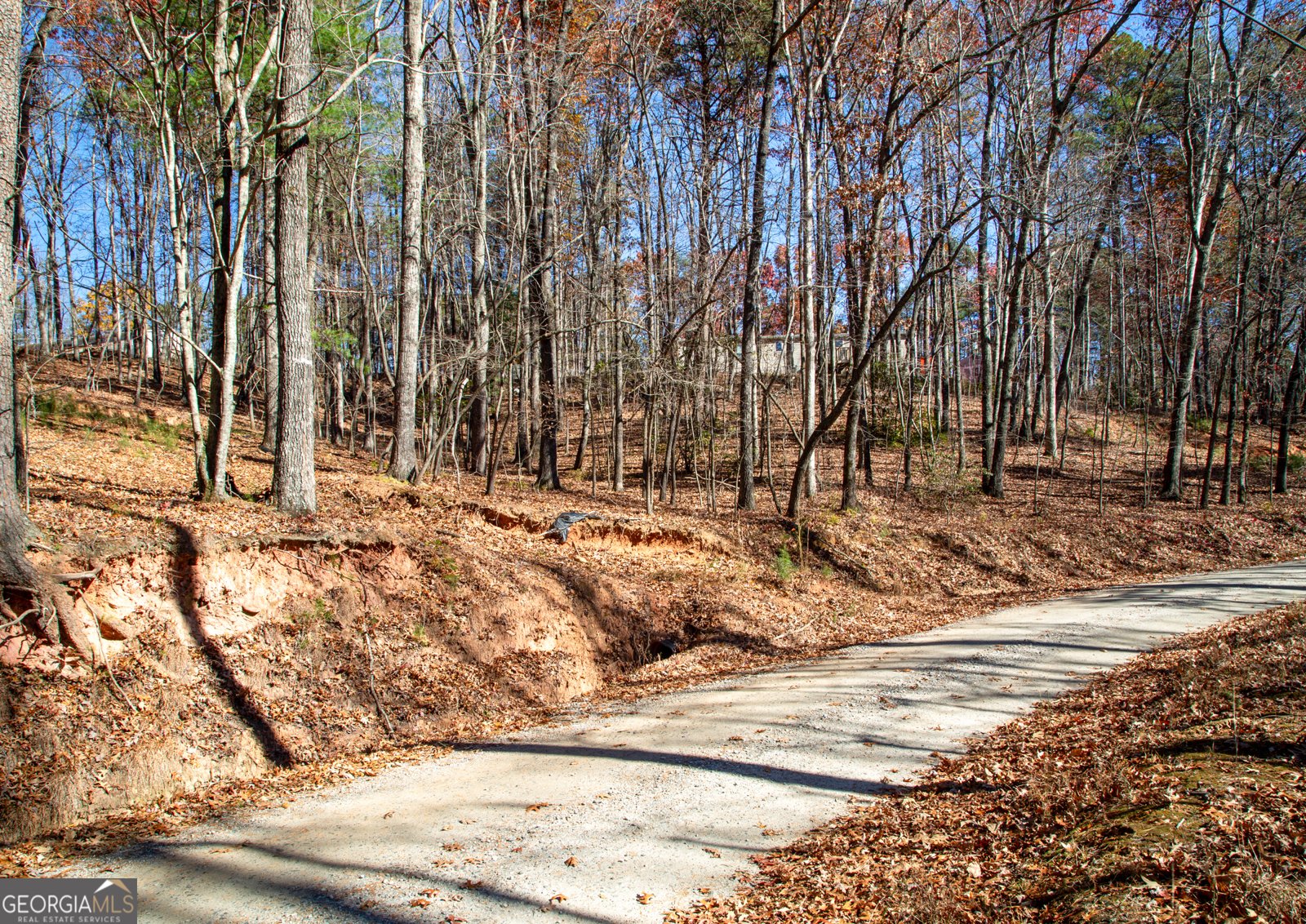 97 Waldrip Road Dawsonville - Photo 16