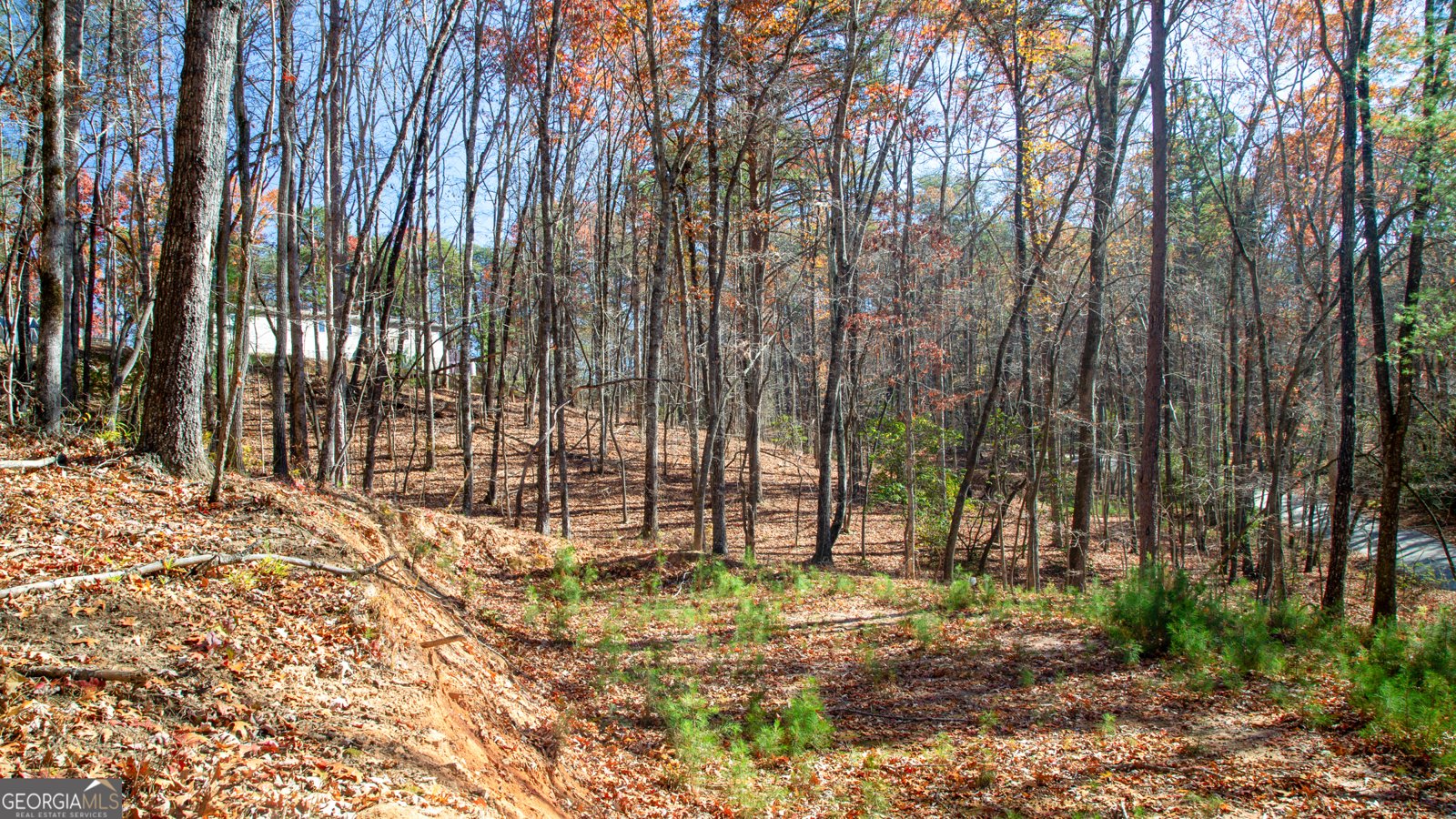 97 Waldrip Road Dawsonville - Photo 17