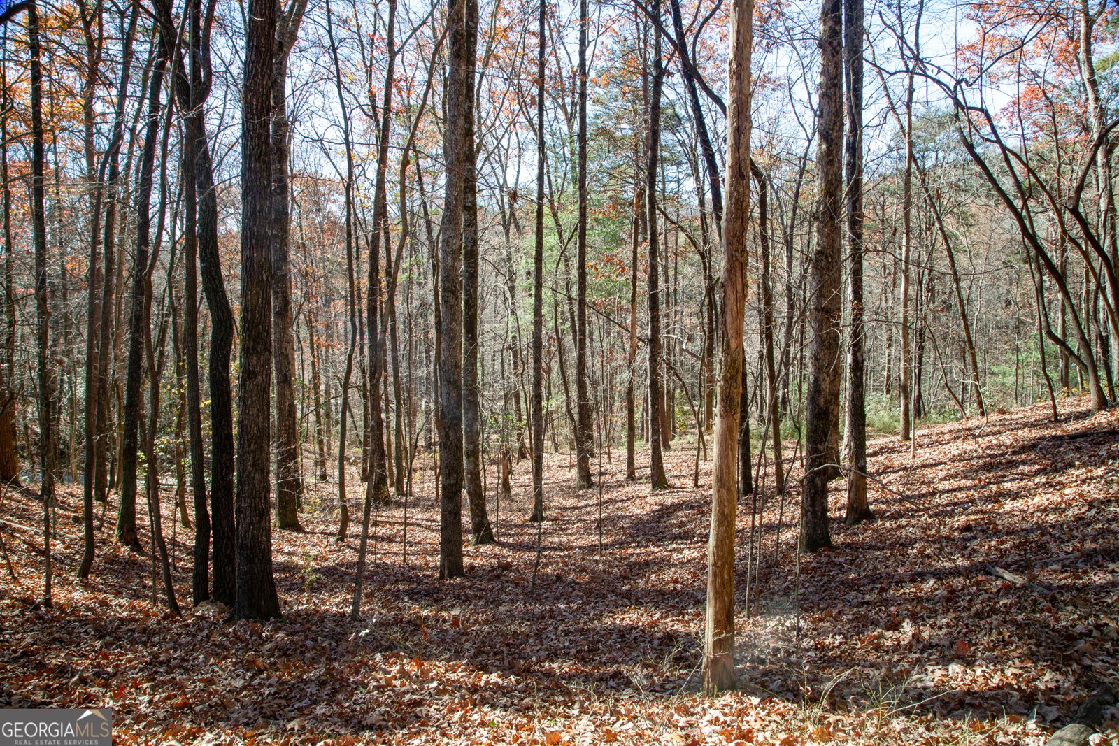 97 Waldrip Road Dawsonville - Photo 18