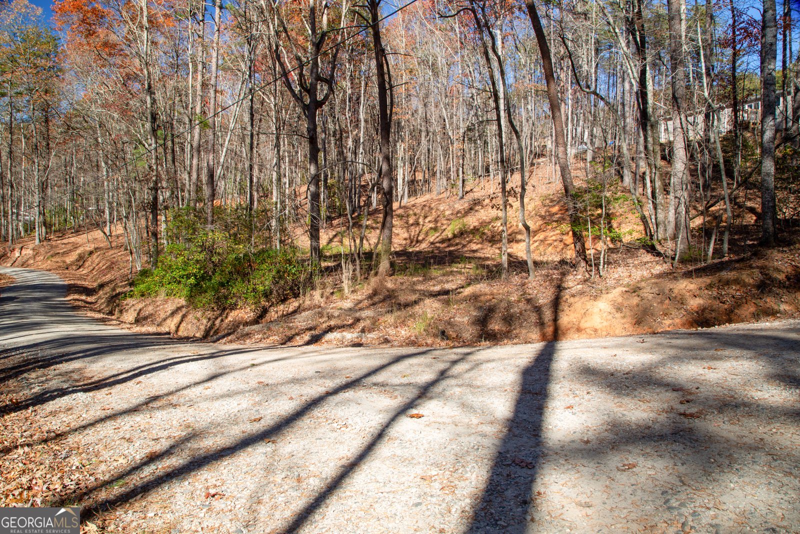 97 Waldrip Road Dawsonville - Photo 19