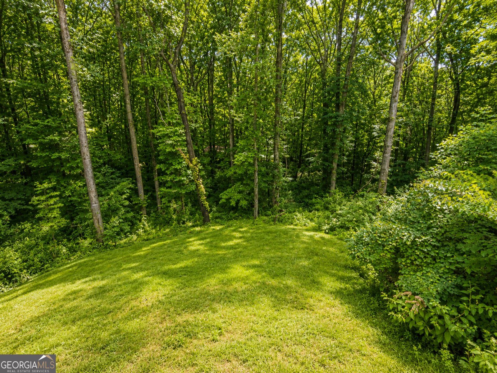 159 Settlement Road Jasper - Photo 18