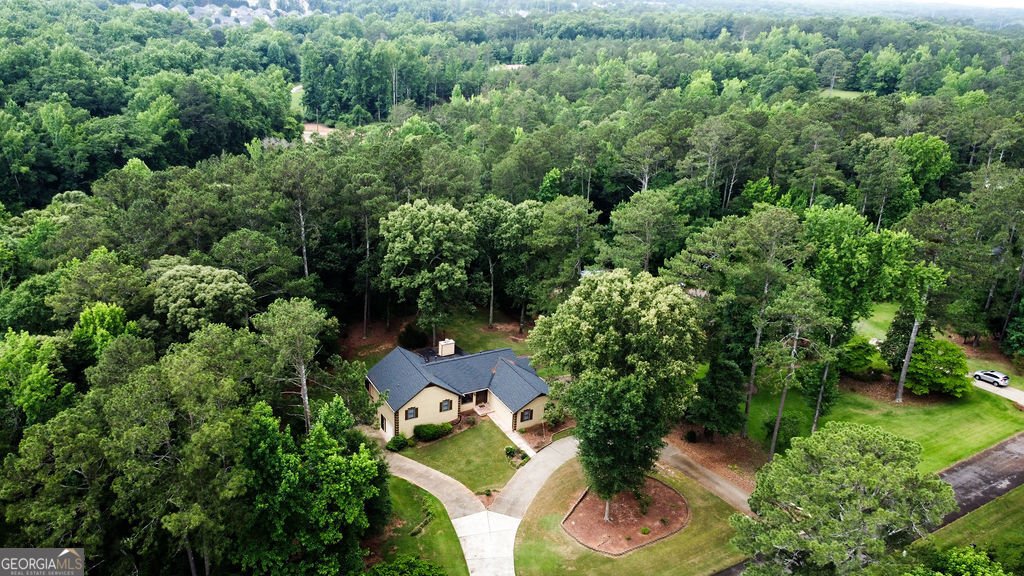 125 Emerald Drive McDonough - Photo 51
