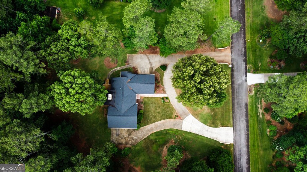 125 Emerald Drive McDonough - Photo 52