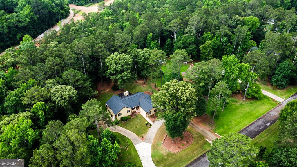 125 Emerald Drive McDonough - Photo 8