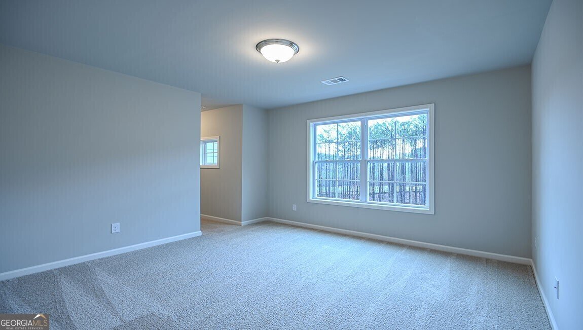5220 Thalley Creek Drive Cumming - Photo 21