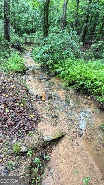 36 Mill Creek Trail Dahlonega - Photo 36