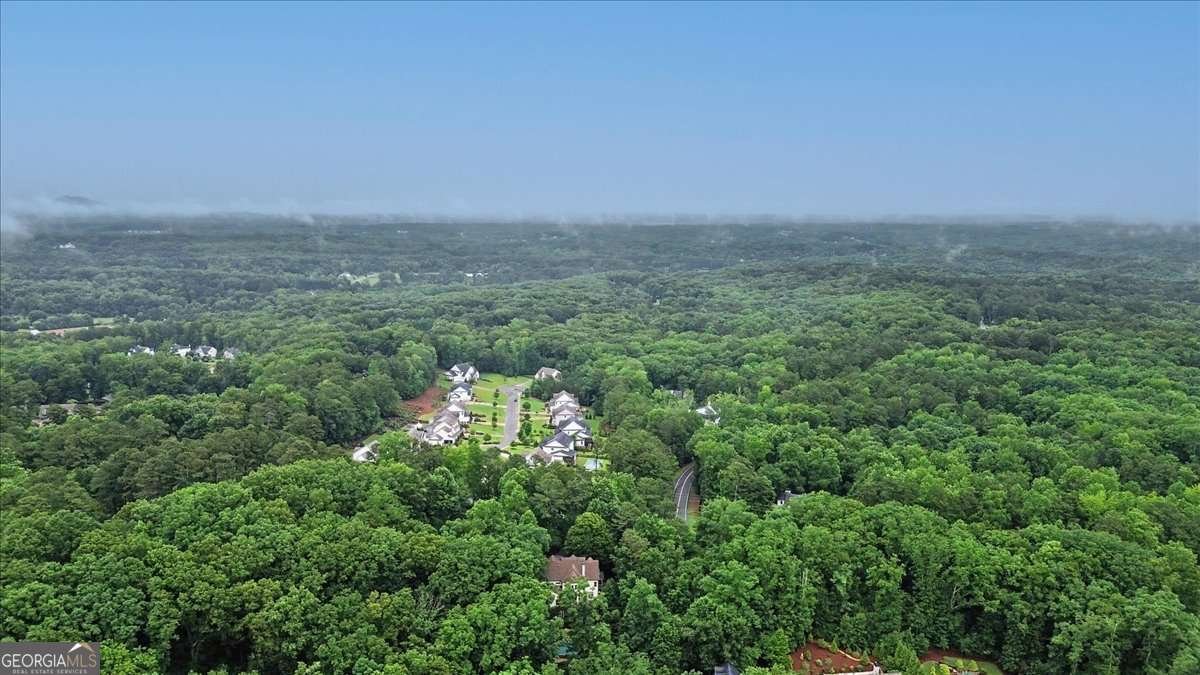 16370 Twin Ridge Trail Milton - Photo 62