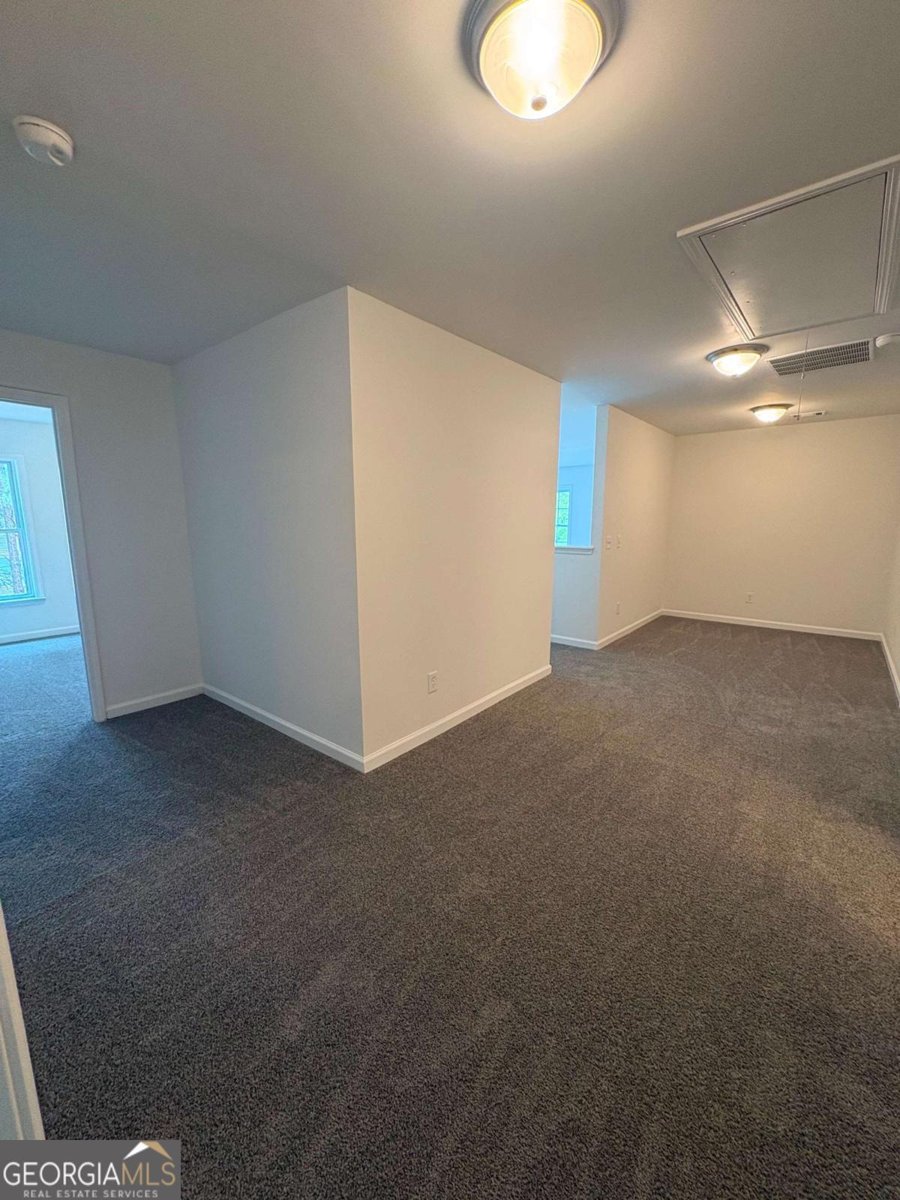 20 Bellflower Walk Covington - Photo 19
