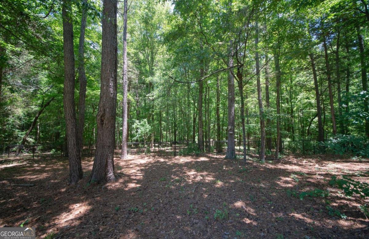 217 Hidden Spring Way Athens - Photo 46