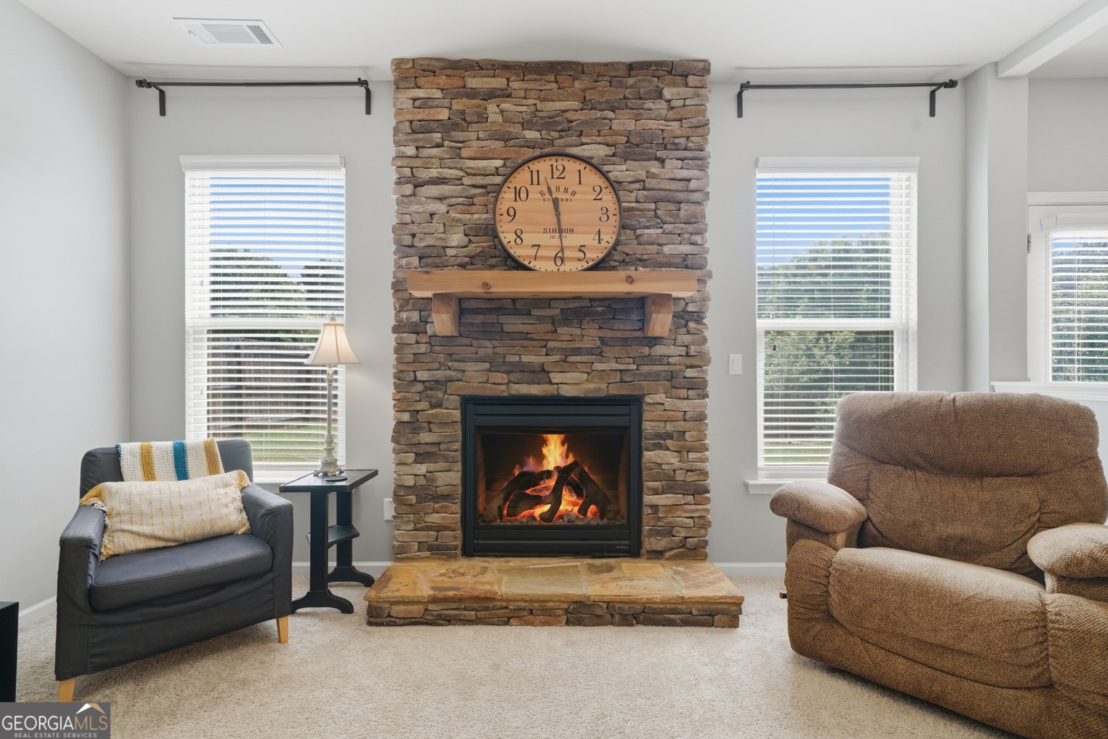 233 Manous Way Canton - Photo 22