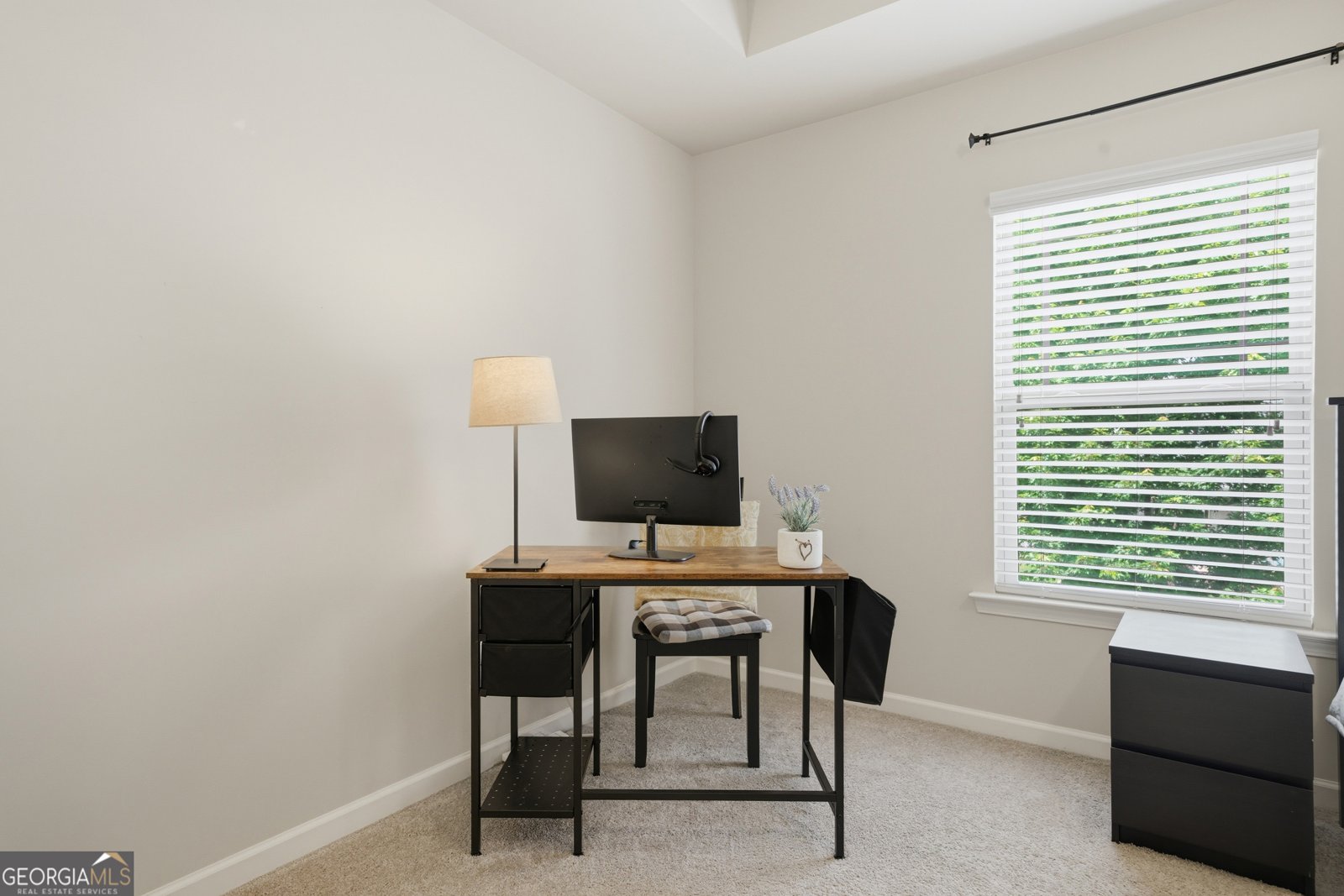 233 Manous Way Canton - Photo 29