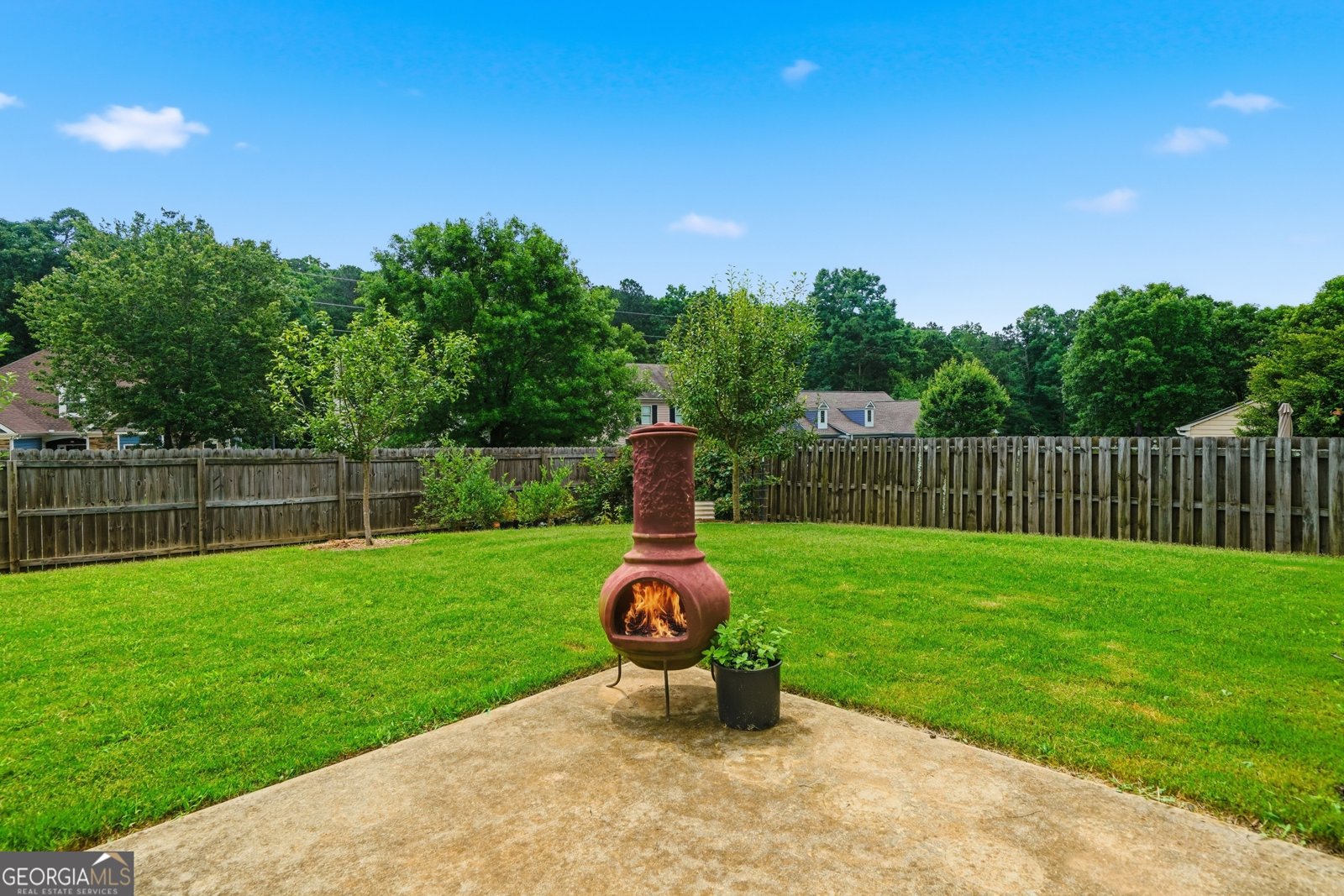 233 Manous Way Canton - Photo 33