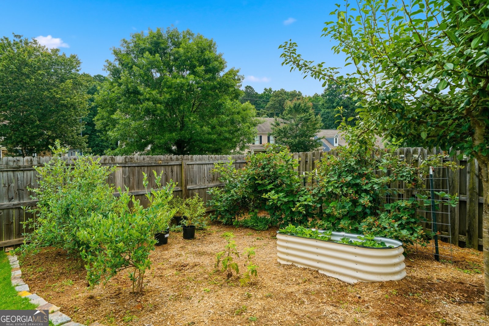 233 Manous Way Canton - Photo 34