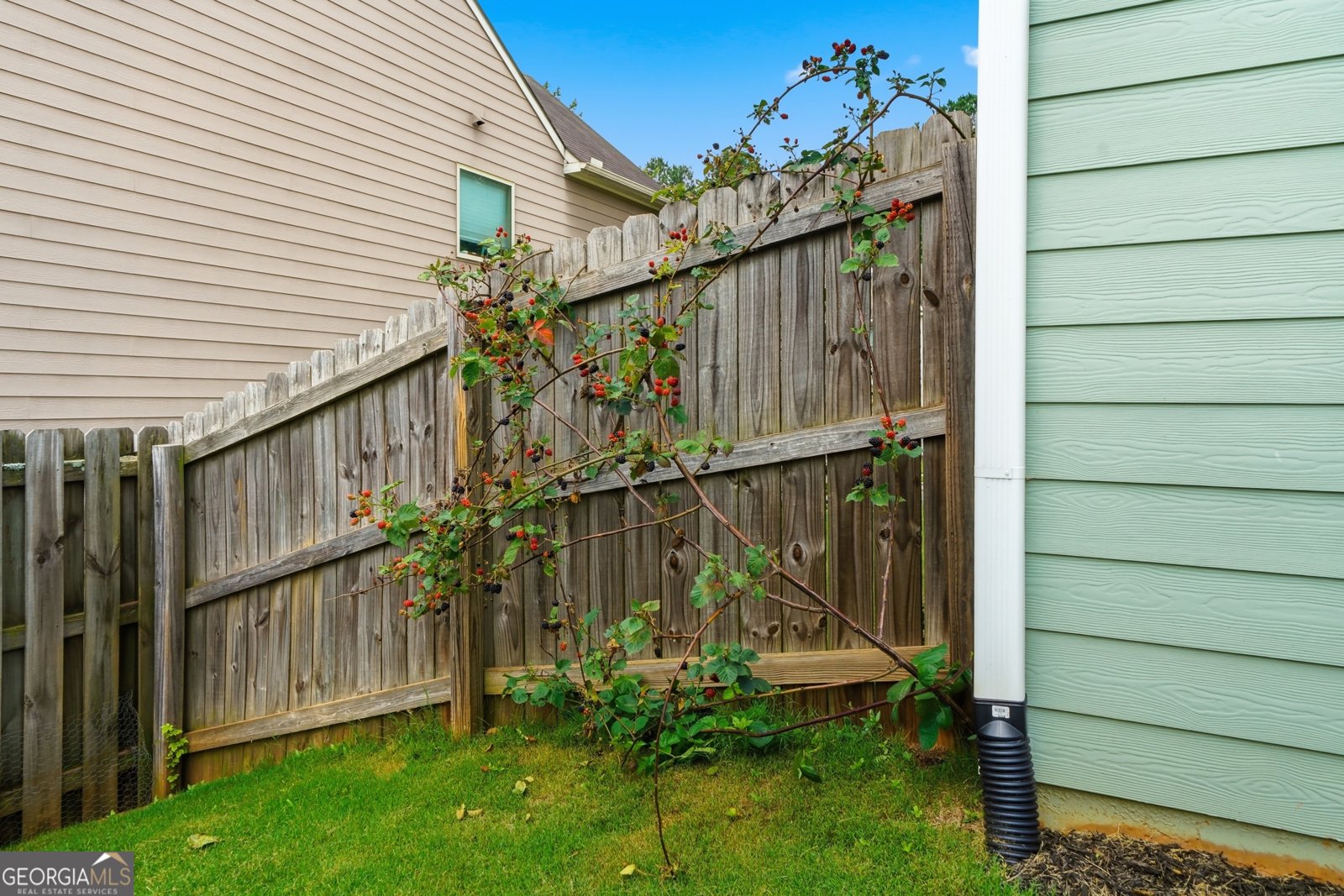 233 Manous Way Canton - Photo 35