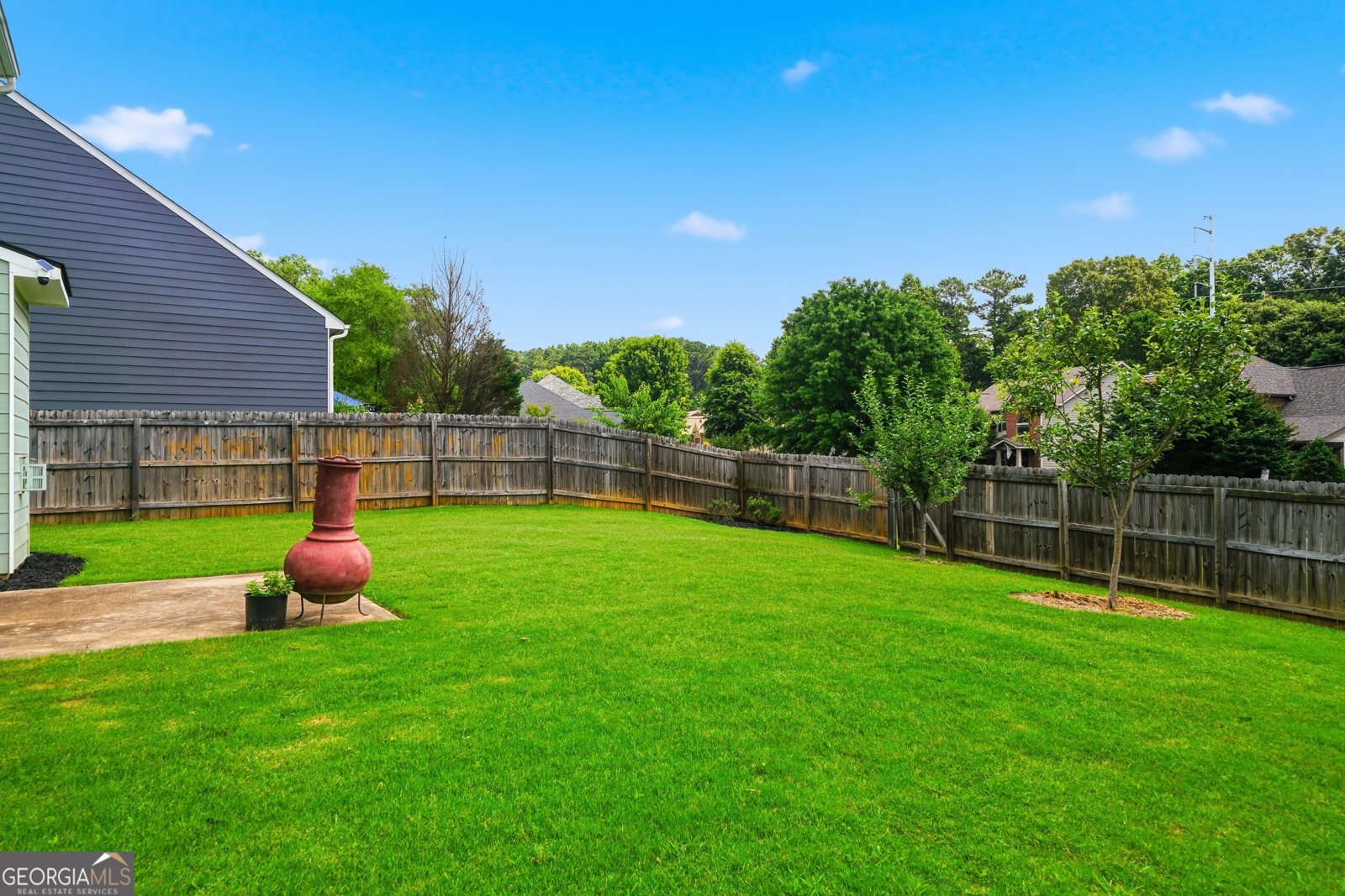 233 Manous Way Canton - Photo 36