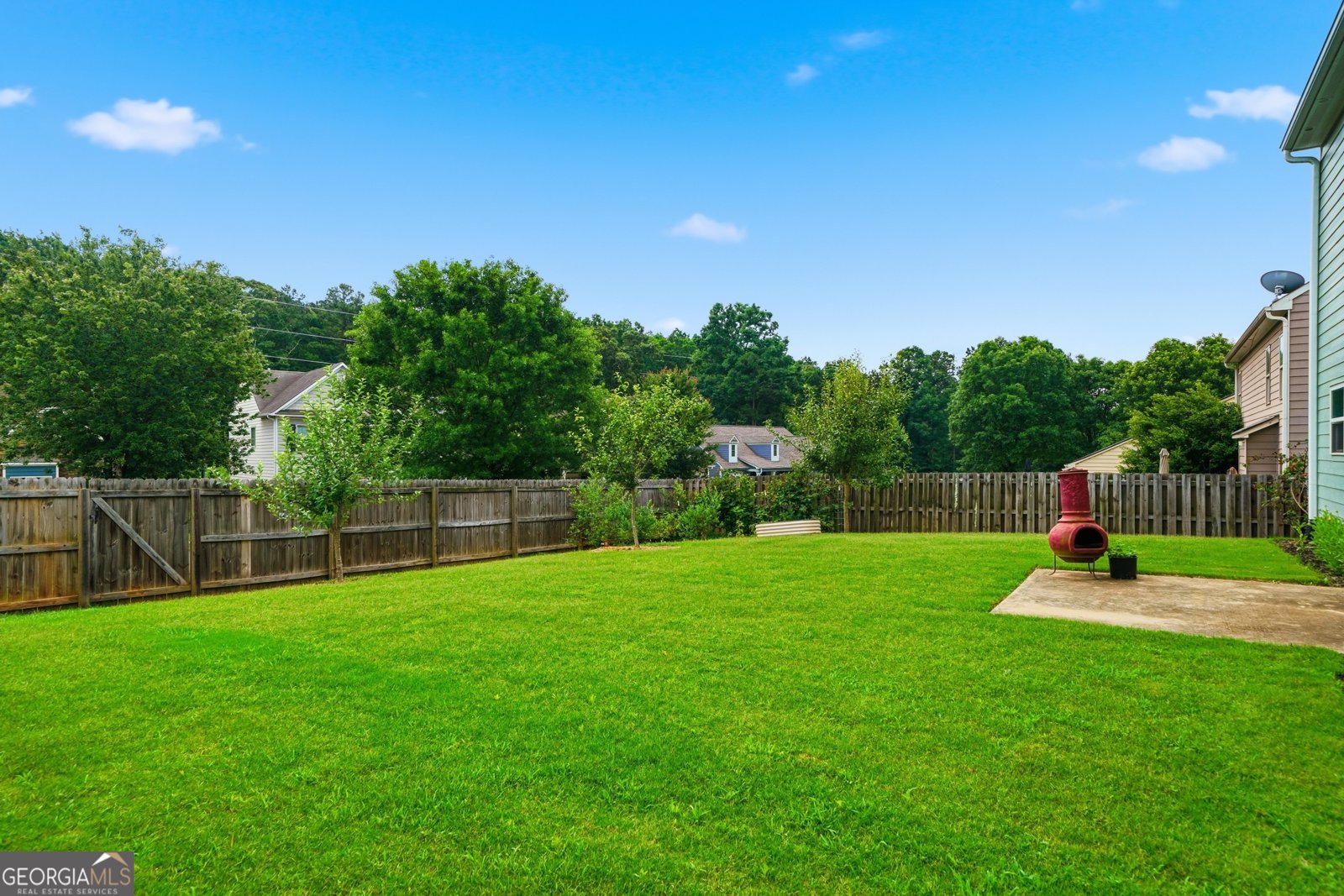 233 Manous Way Canton - Photo 47