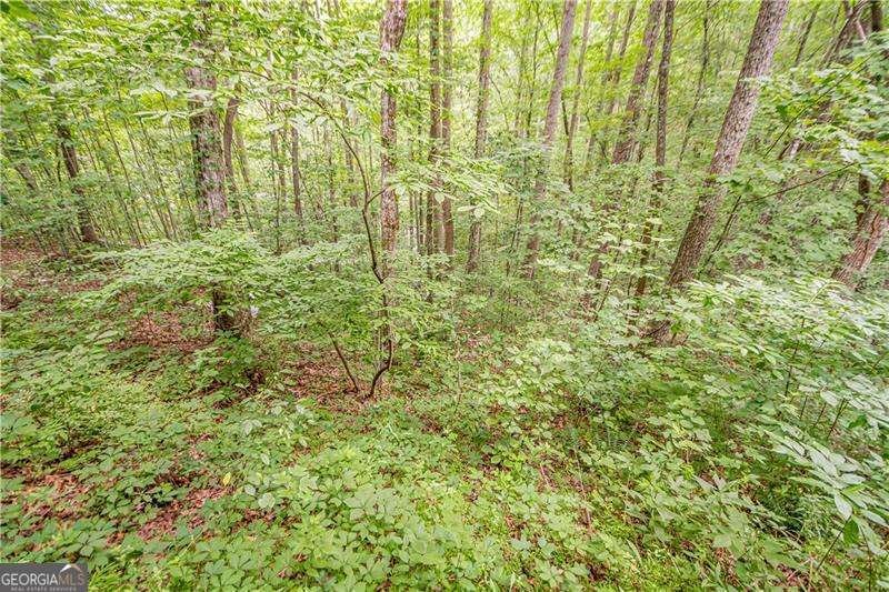 213 Moonshine Hollow Blue Ridge - Photo 46