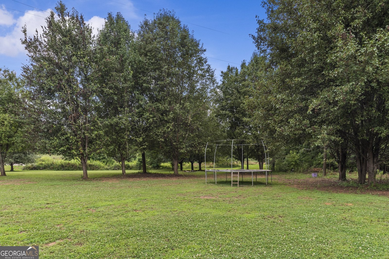 1011 Shelnutt Drive Bishop - Photo 64