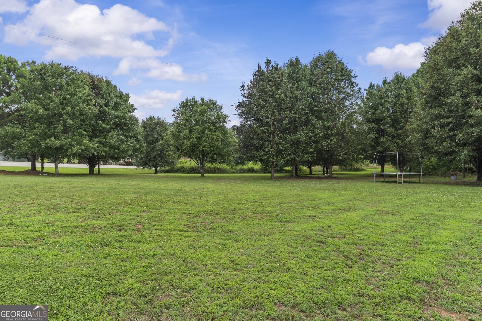 1011 Shelnutt Drive Bishop - Photo 65