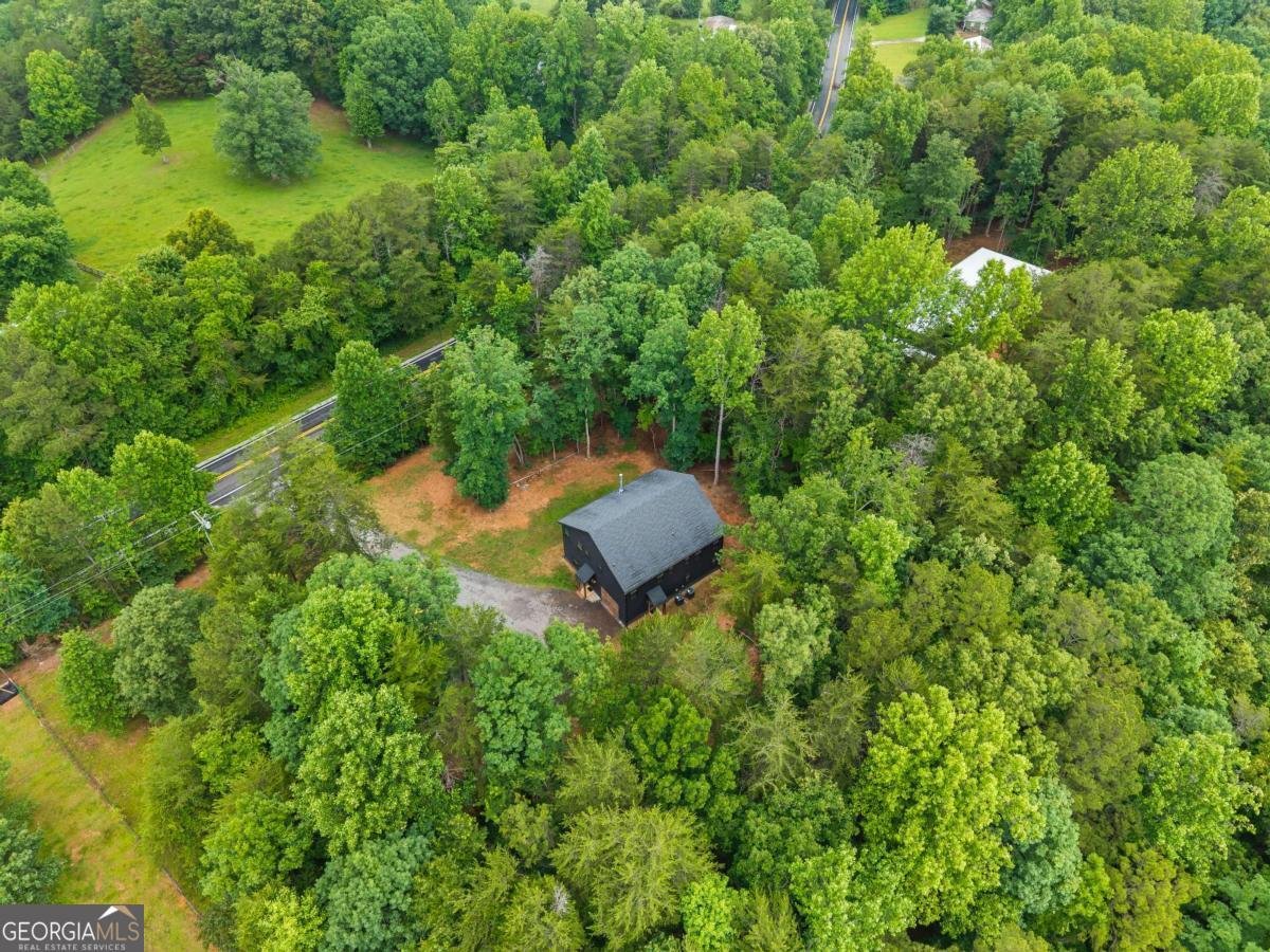 1995 Auraria Road Dahlonega - Photo 37