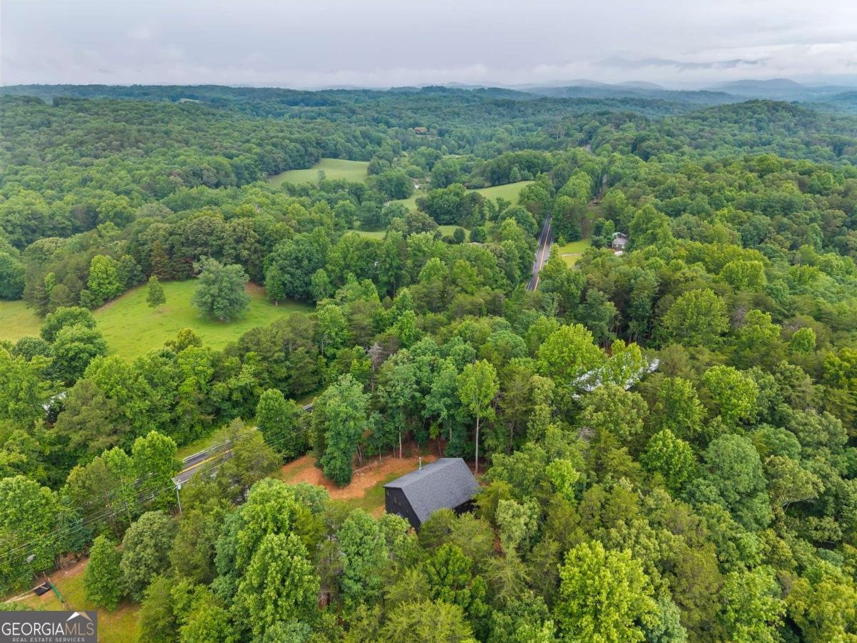 1995 Auraria Road Dahlonega - Photo 38