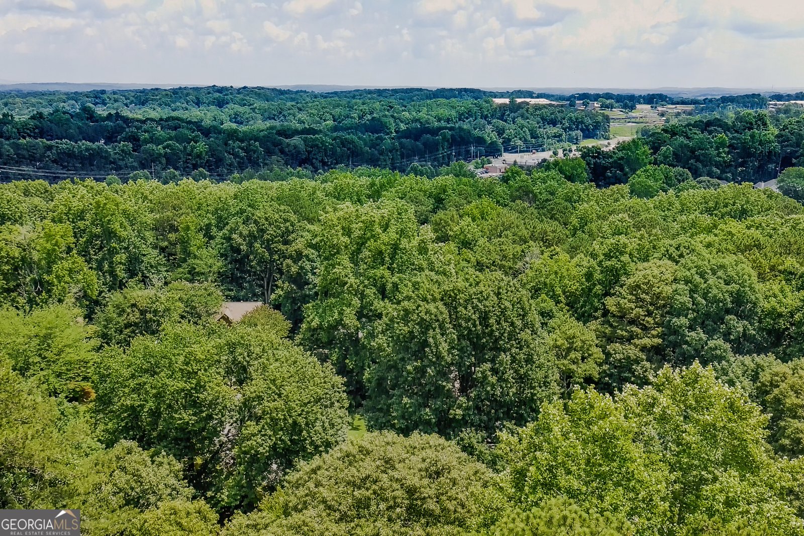 1033 Atherton Lane Woodstock - Photo 46