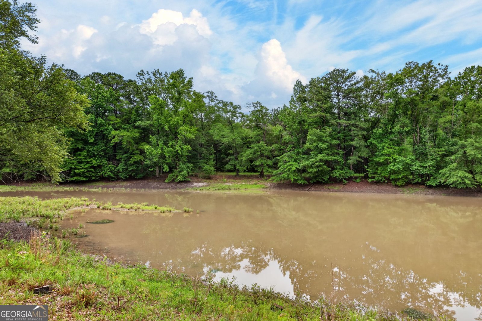 215 Boone Road Newnan - Photo 38