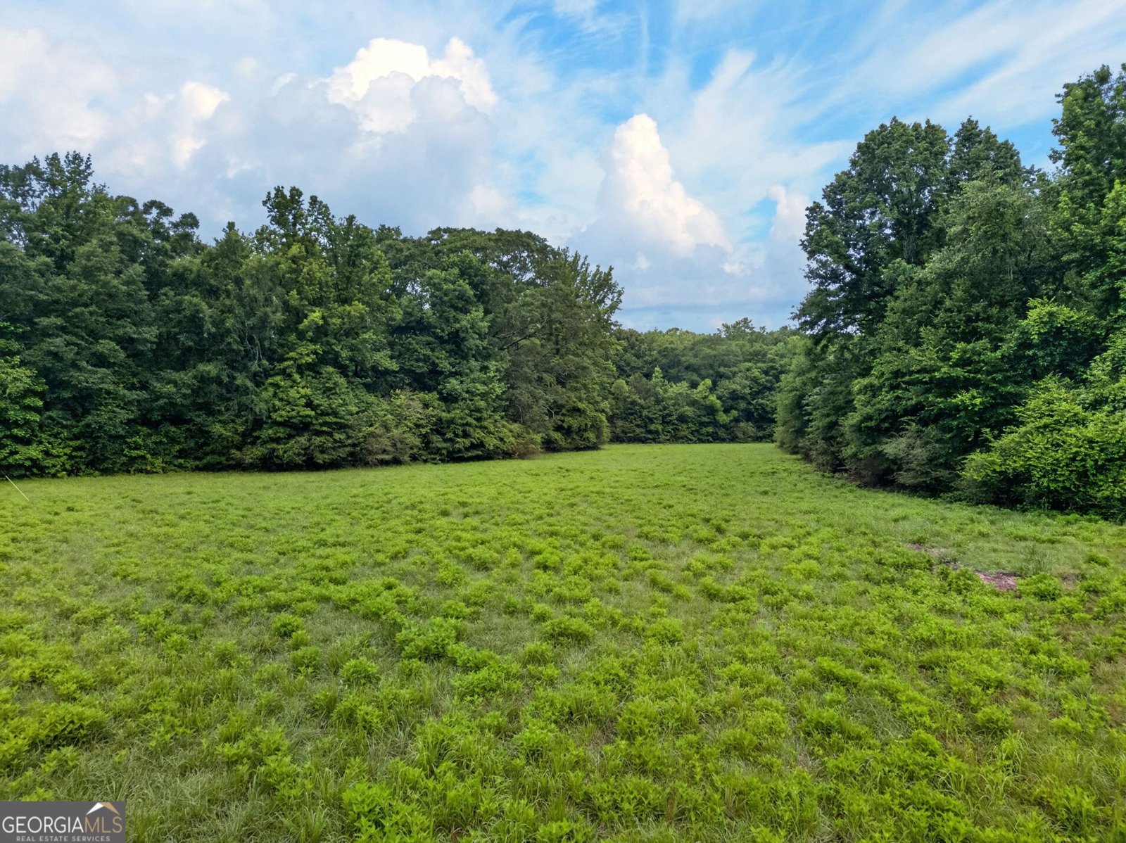 215 Boone Road Newnan - Photo 51