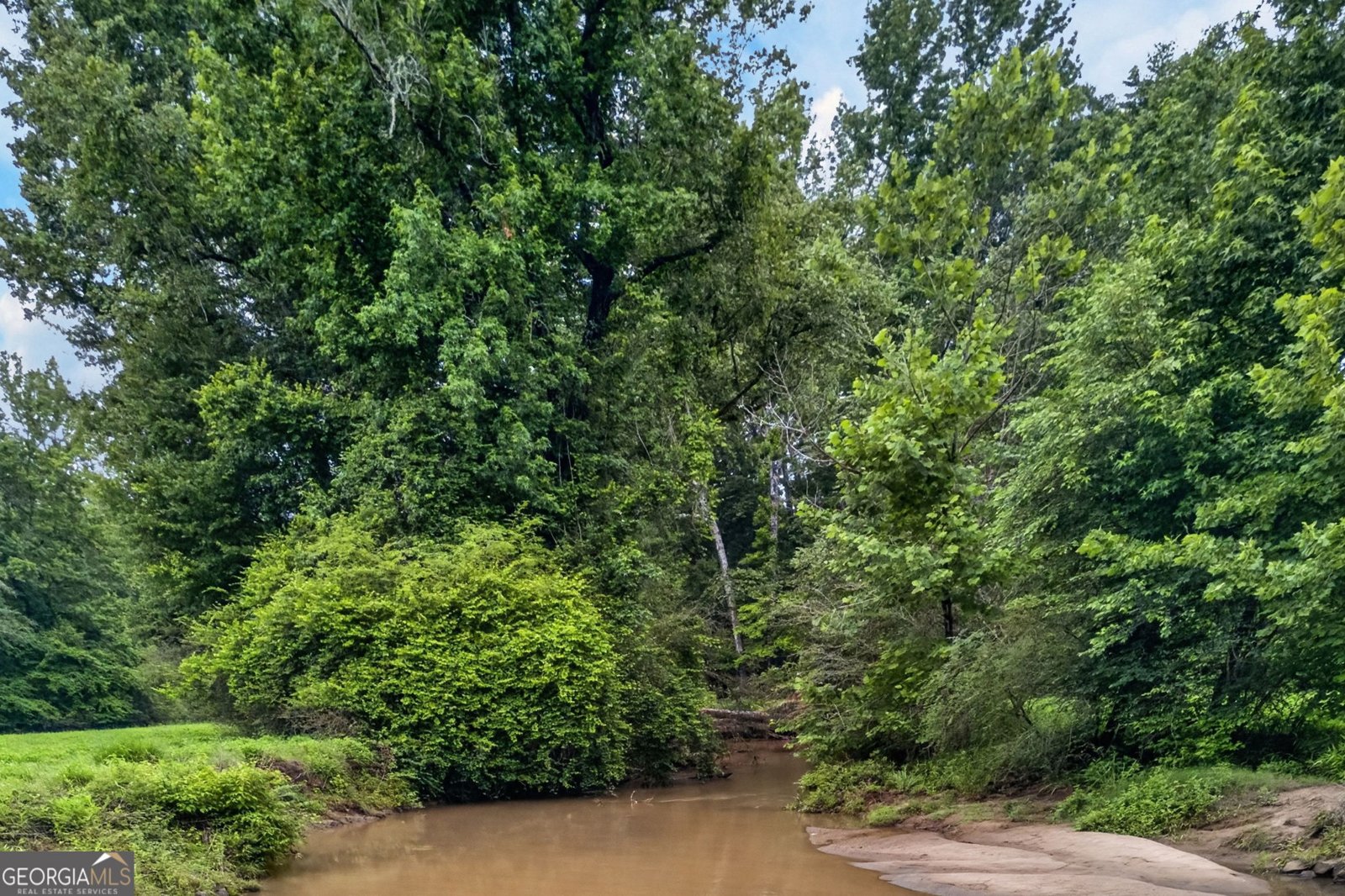 215 Boone Road Newnan - Photo 54