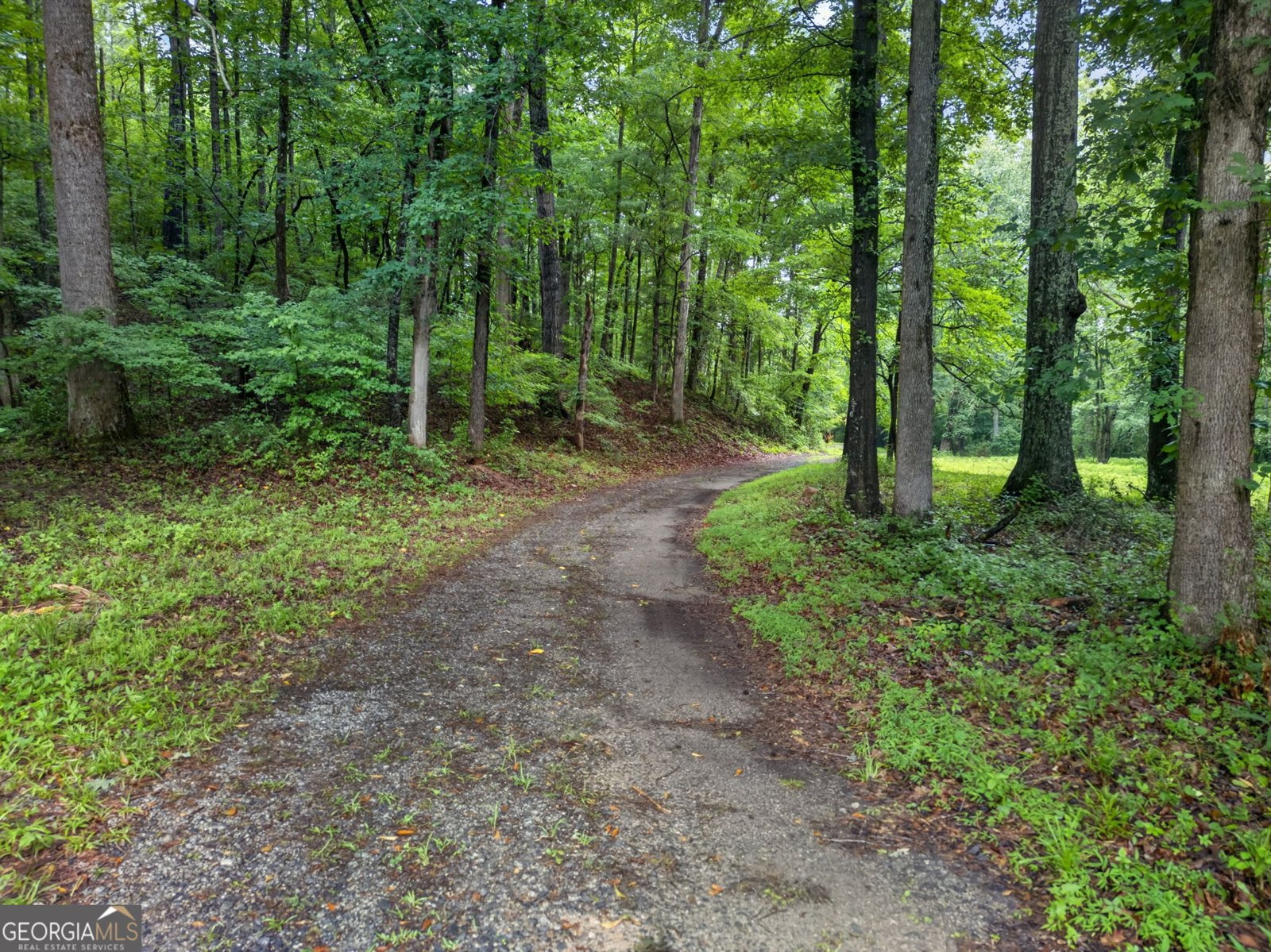 215 Boone Road Newnan - Photo 57