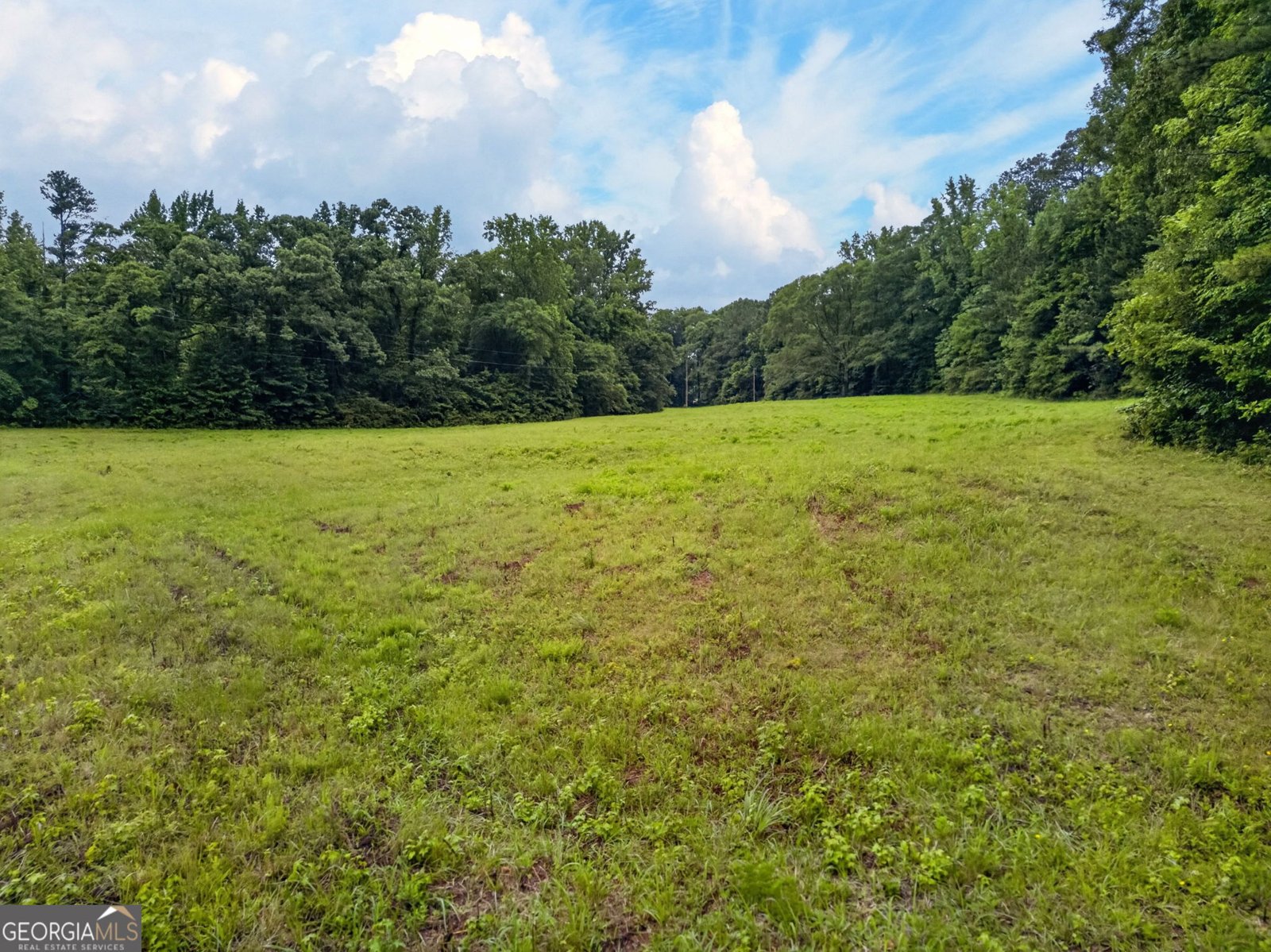 215 Boone Road Newnan - Photo 58