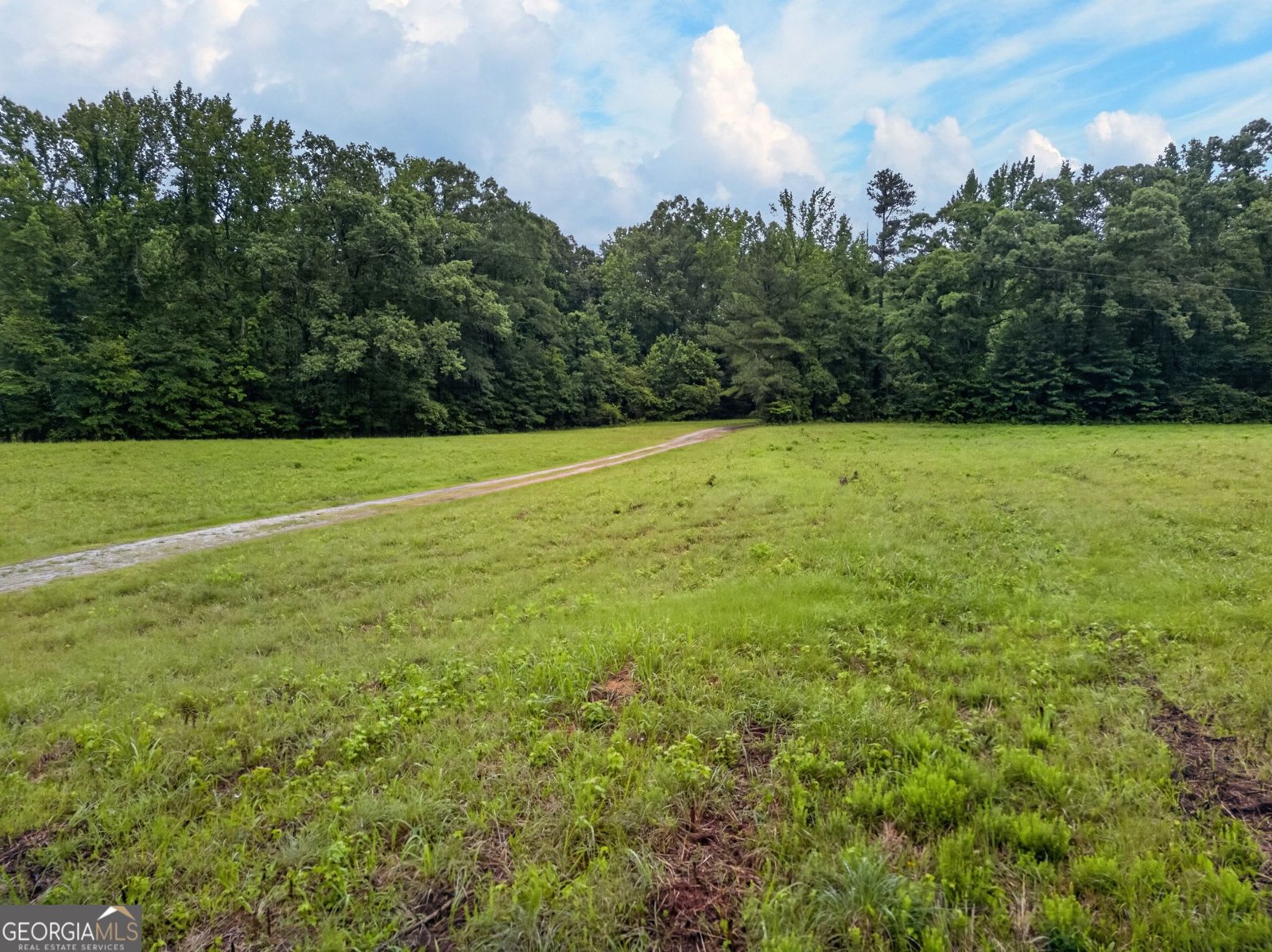 215 Boone Road Newnan - Photo 59
