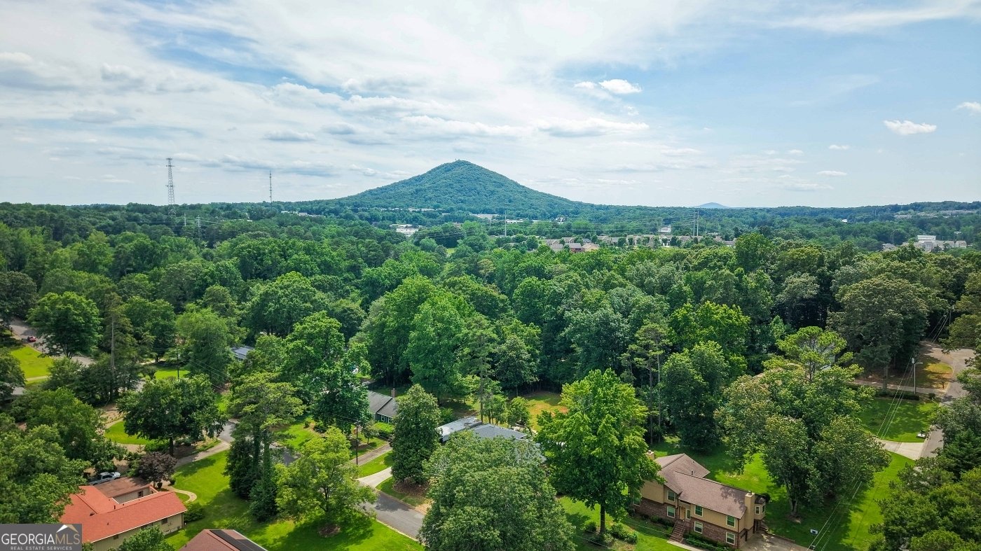 1681 Huntington Drive Marietta - Photo 44