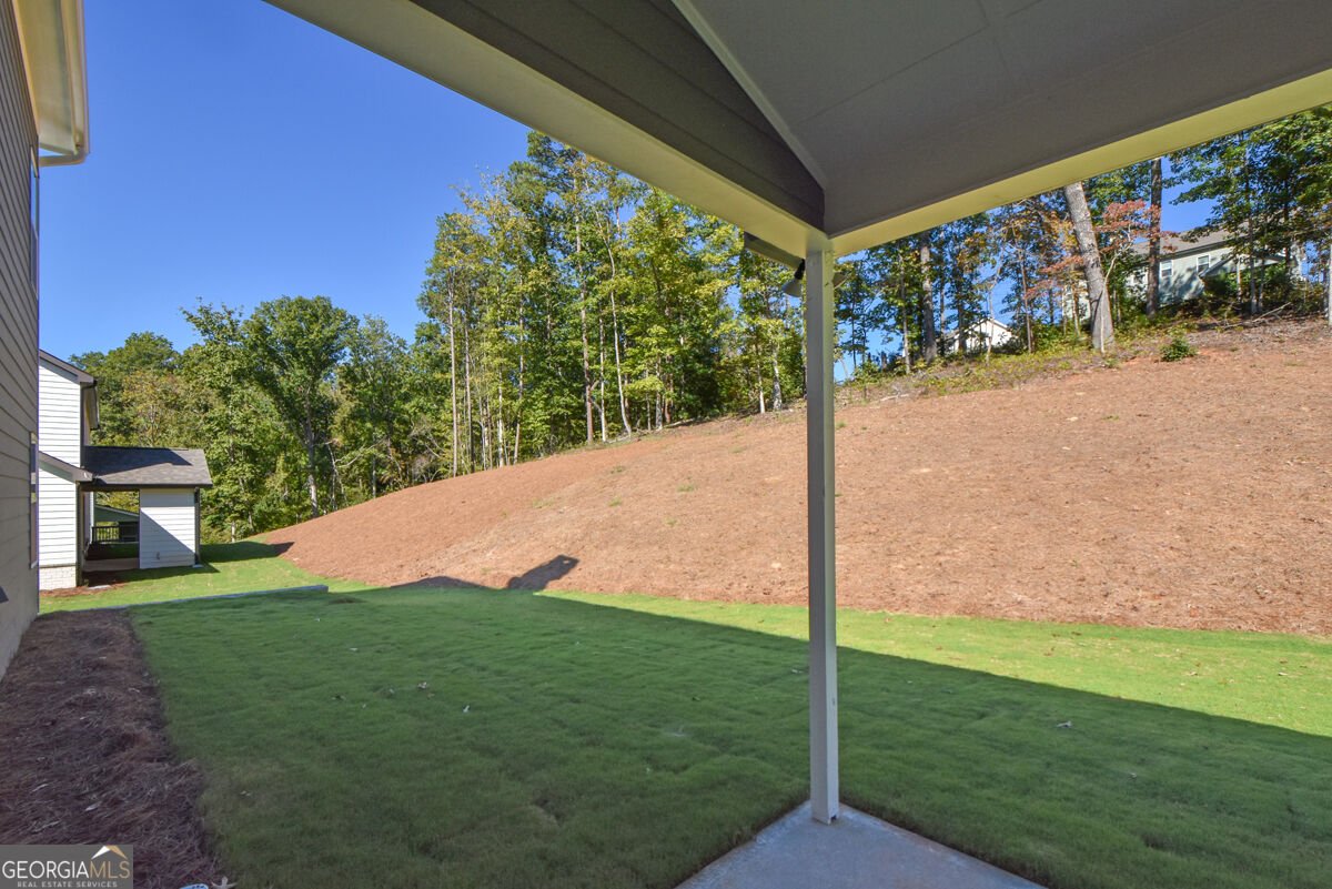 8250 CROOKED CREEK Drive Cumming - Photo 61