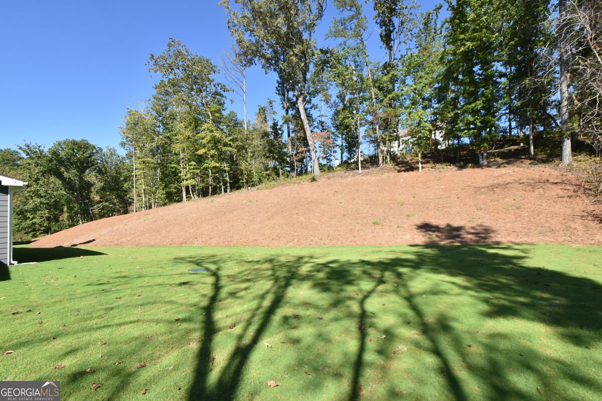 8250 CROOKED CREEK Drive Cumming - Photo 62