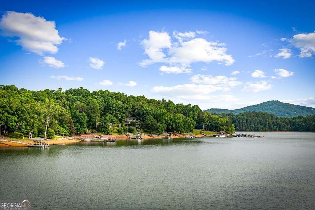 129 Mountain View Lane Blairsville - Photo 61