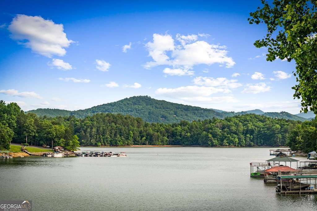 129 Mountain View Lane Blairsville - Photo 62