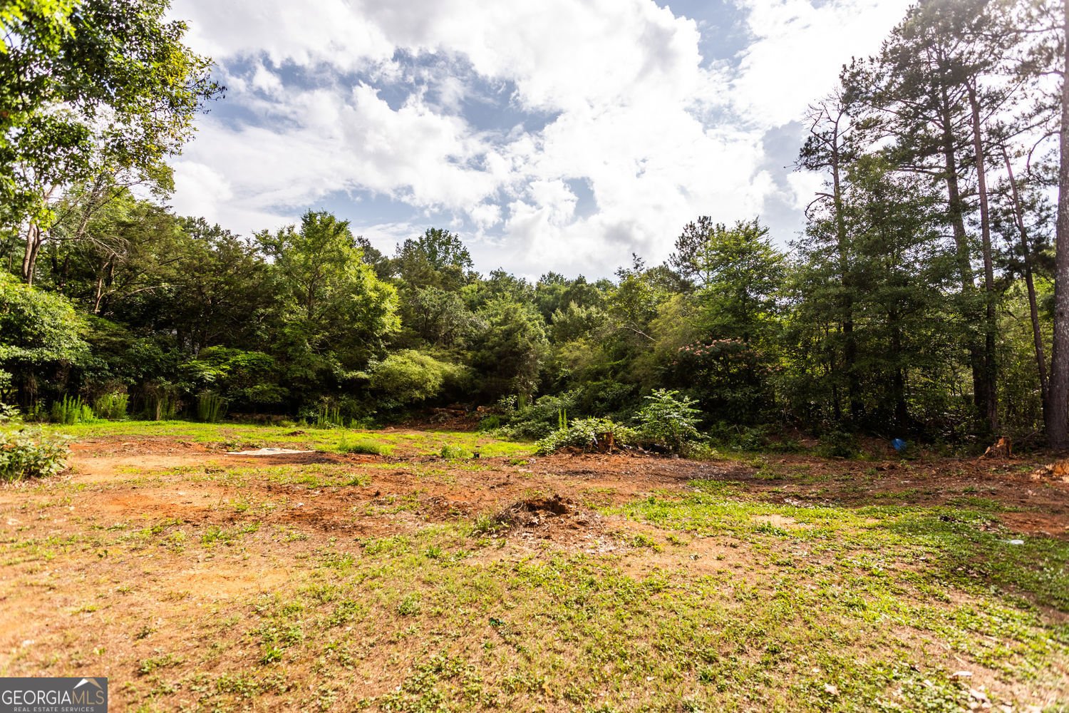 2076 Gleaton Road Conyers - Photo 31