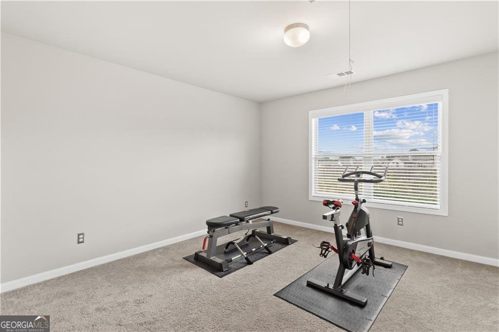 1155 Scarlet Sage Circle Auburn - Photo 29