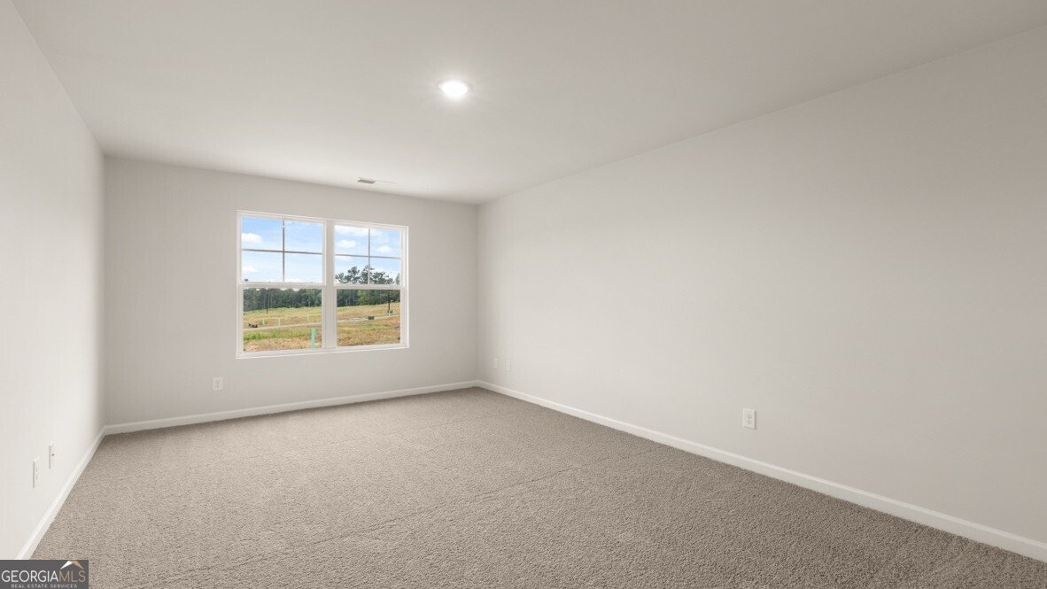 2354 Carlton Parkway Douglasville - Photo 13