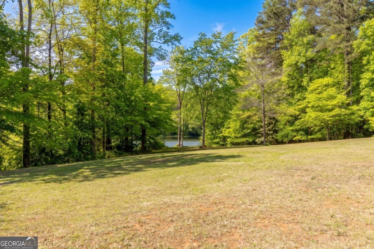 7691 Nicholson Road Cumming - Photo 53