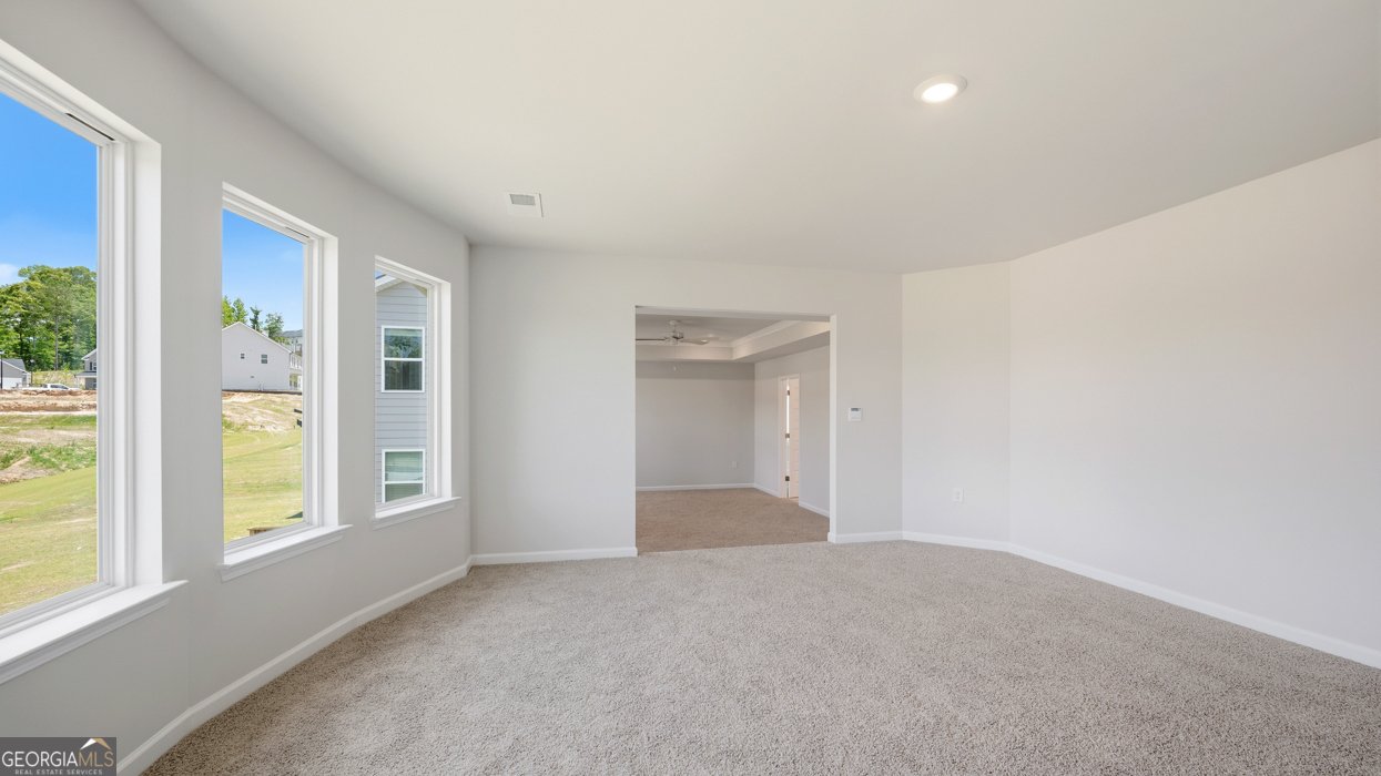 500 Olson Lane Locust Grove - Photo 24